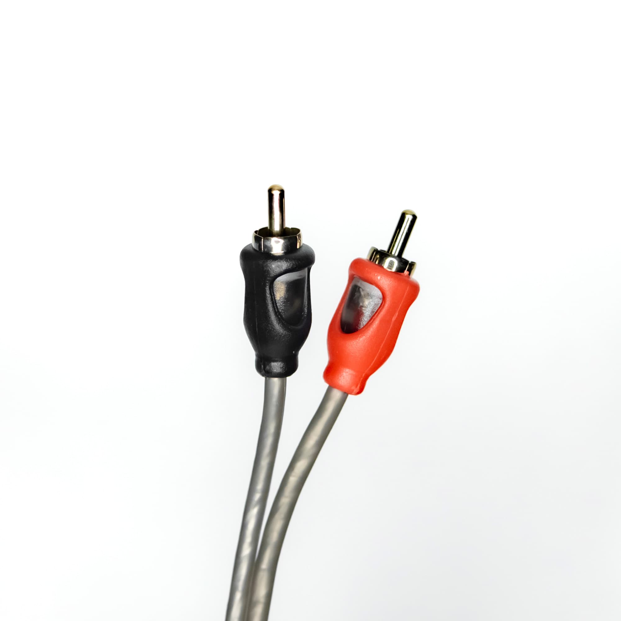 AMP FRCA-2