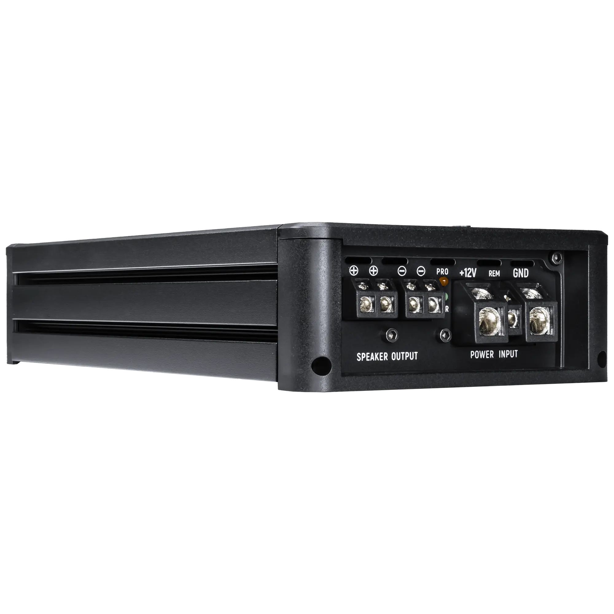 Amplifier AMP PRO 1.1000