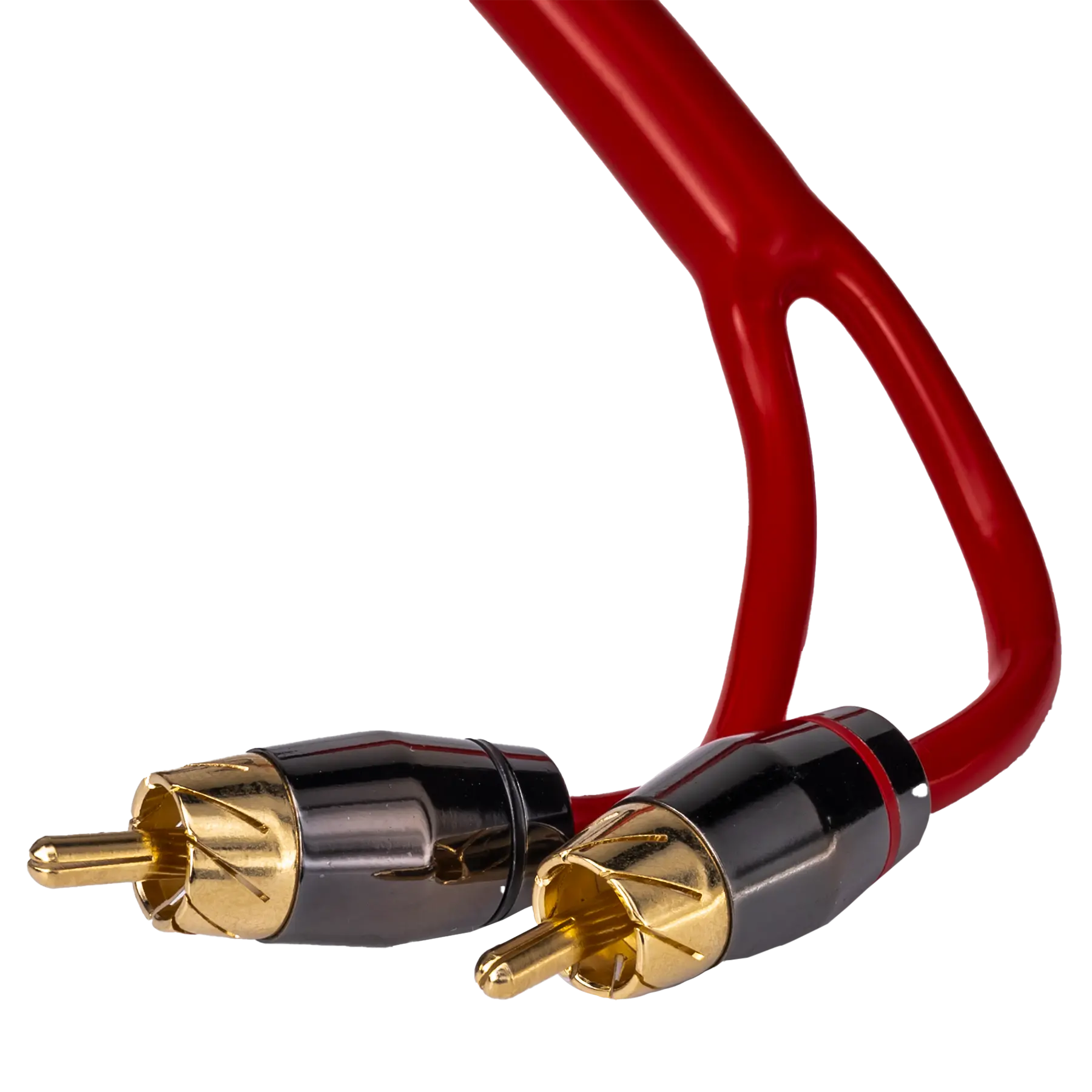 AMP HRCA-2